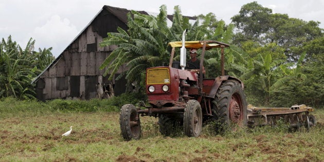 Land use intensification is an important pathway, but sustainable intensification may not occur without holistic and more effective public support for smallholders and large-scale commercial farmers.