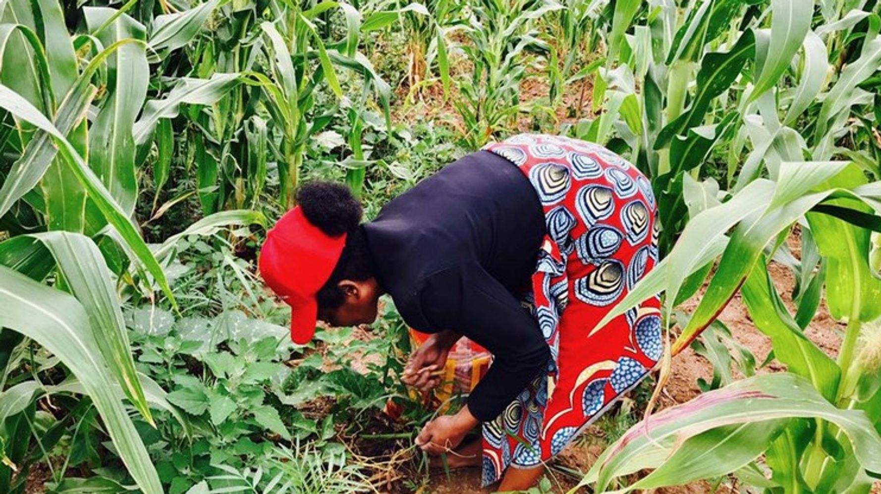 Tsonga Farmers Use Vacant Land To Farm Fruit And Veggies | HuffPost UK News