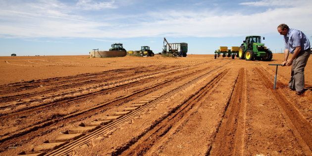 A farmer inspects the soil ahead of planting at a maize field in Wesselsbron, a small maize farming town in the Free State province of South Africa, January 13, 2016.