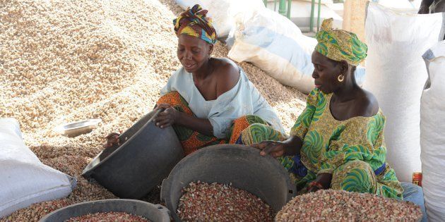 Women sort peanuts on February 23, 2013 in the central Senegalese village of Dinguiraye at a Chinese-owned warehouse.