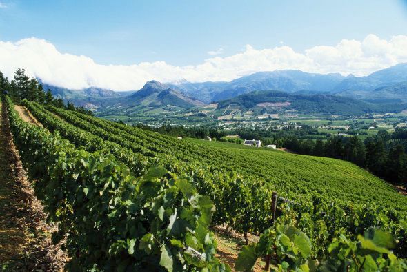 Franschhoek, Boland, Western Cape Province, South Africa