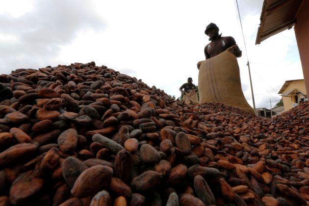 Men pour out cocoa beans to dry in Niable, at the border between Ivory Coast and Ghana, June 19, 2014.
