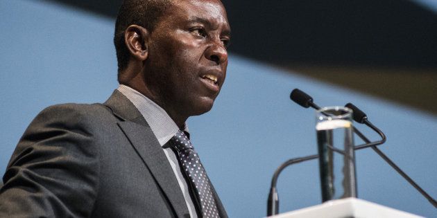 Mosebenzi Zwane, South Africa's mineral resources minister.