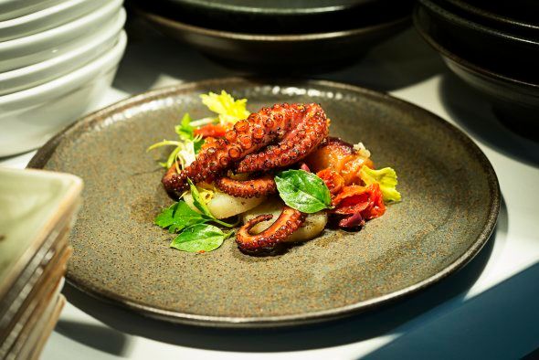 WASHINGTON, DC-June 8: Octopus suffocate, potato confit, cotechinata, celery salad at Centrolina Osteria and Market in City Center in Washington, DC. (Photo by Scott Suchman/For the Washington Post)