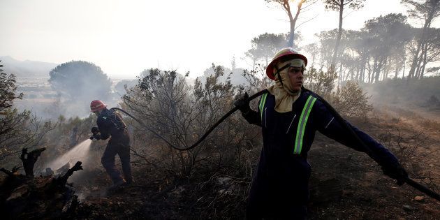 Firefighters spray embers to prevent a flare up of a bushfire that burnt several houses and threatened vineyards in Somerset West, near Cape Town, South Africa January 4, 2017.
