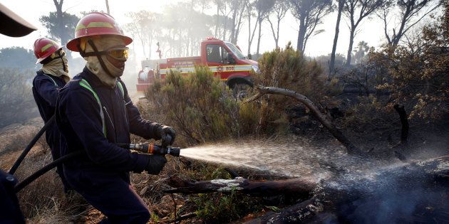 Firefighters spray embers to prevent a flare up of a bushfire that burnt several houses and threatened vineyards in Somerset West, near Cape Town, South Africa January 4, 2017.