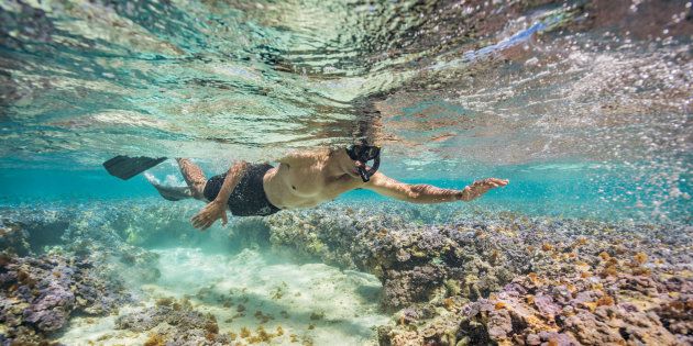 “For a guy who is managed to the second and is always in suits and ties, being out in the middle of the ocean had to be a real treat,” photographer Brian Skerry said. He said he hopes this image of President Barack Obama snorkeling will draw attention to ocean conservation efforts.