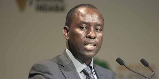 Minister of Mineral Resources Mosebenzi Zwane