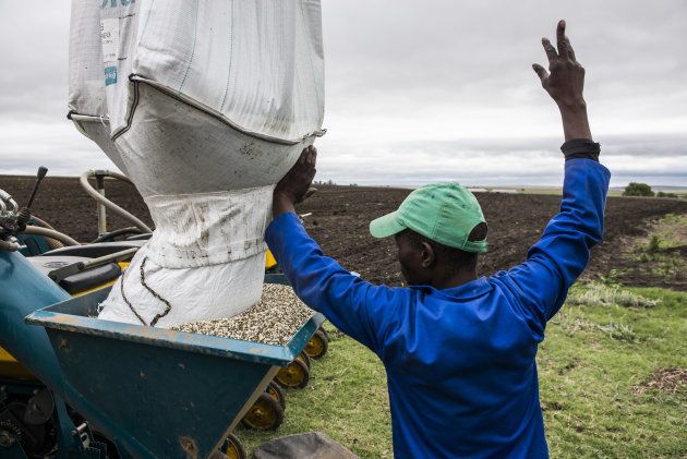 A worker fills a hopper with fertilizer grains on a drought-affected farm in Mpumalanga, South Africa, on Friday, Nov. 27, 2015.