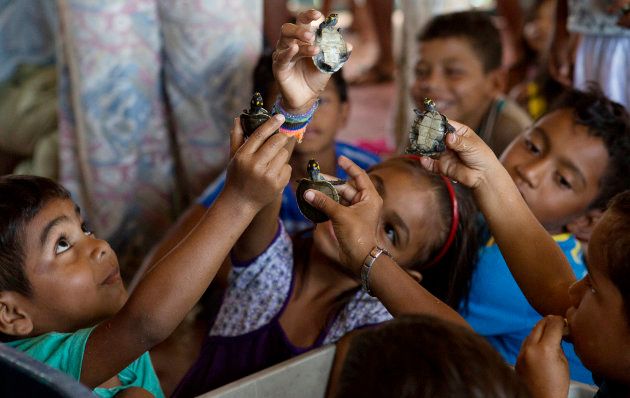 Children play with quelonios turtle hatchlings before they are released.