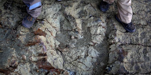 People stand next to a footprint made by a meat-eating predator some 80 million years ago and one of the largest of its kind ever found, at the Maragua Syncline, Bolivia, July 20, 2016.