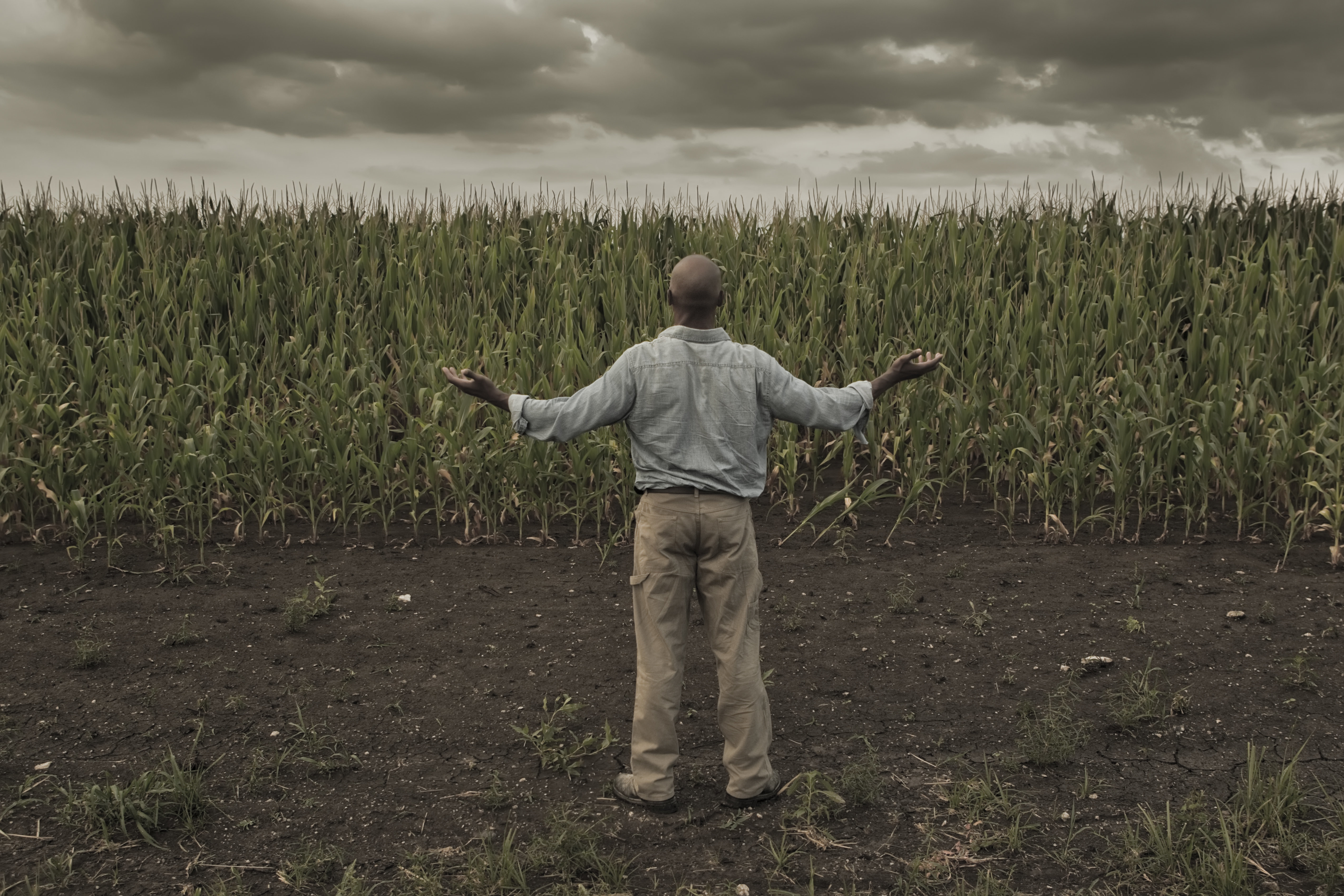 Experts: How Land Expropriation Could Go Very, Very Wrong | HuffPost UK ...