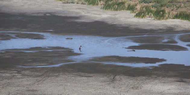 KwaMsane, northeast of Durban is suffering immensely during the nationwide drought.