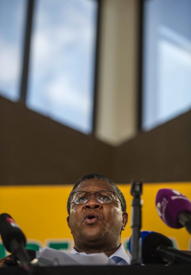 Fikile Mbalula.