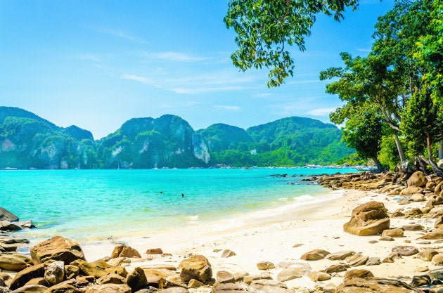 Fabulous beach with exotic plants and white sand on a background of blue sky and azure blue sea