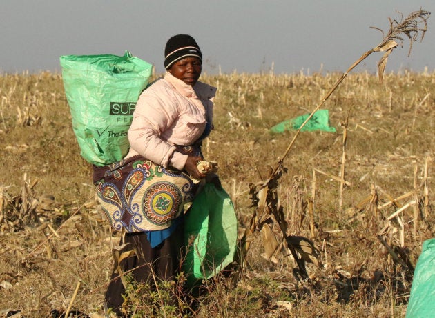 REUTERS/Philimon Bulawayo