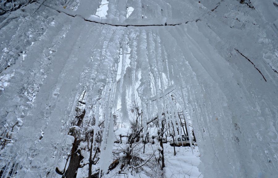 Icicles hang from the trees in Tanmarg, about 34 kms north of Srinagar, following a fresh snowfall on January 18, 2017. / AFP / Tauseef MUSTAFA