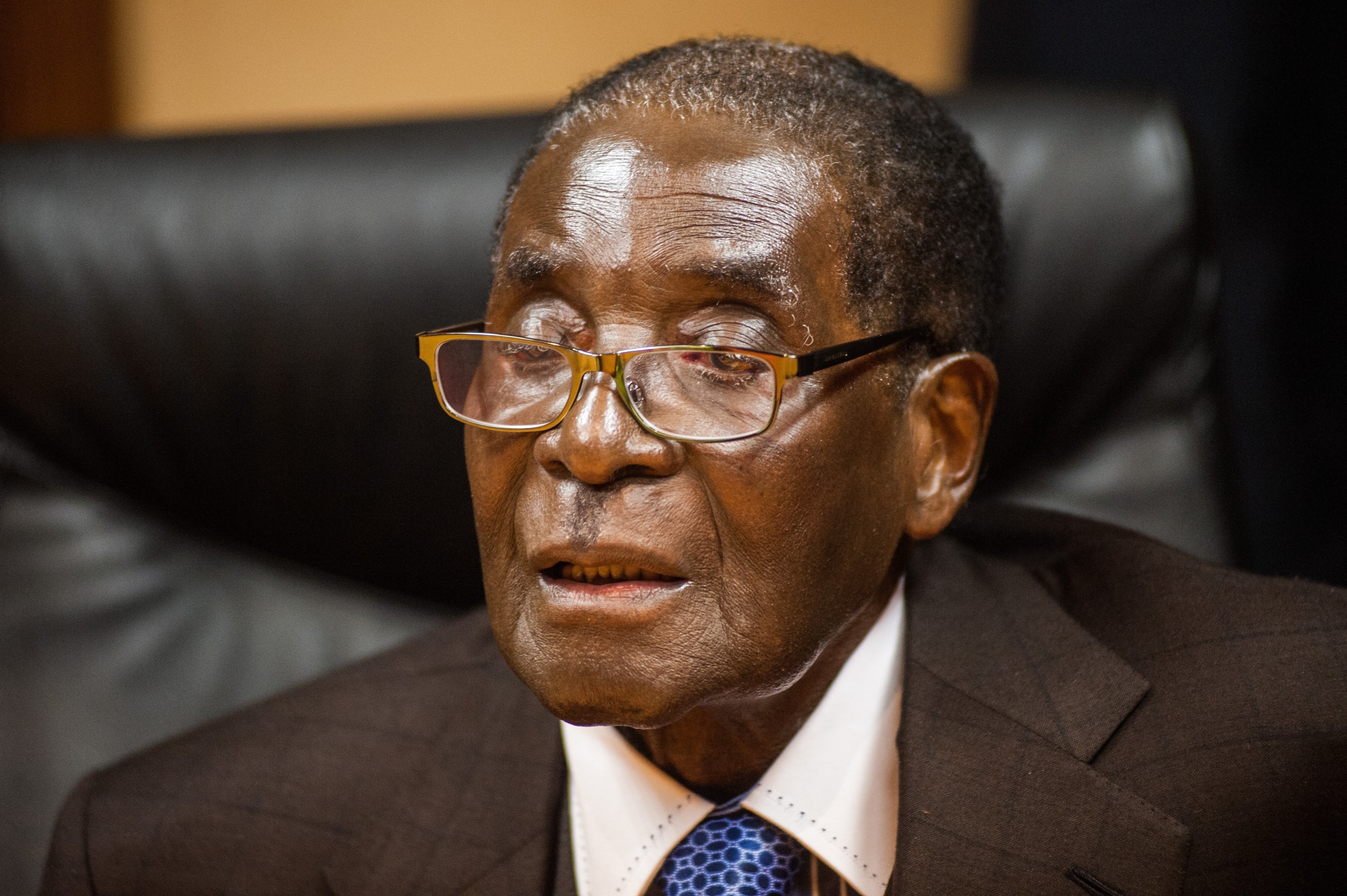 'We'll Field Robert Mugabe's Corpse As Candidate For Election', Says ...