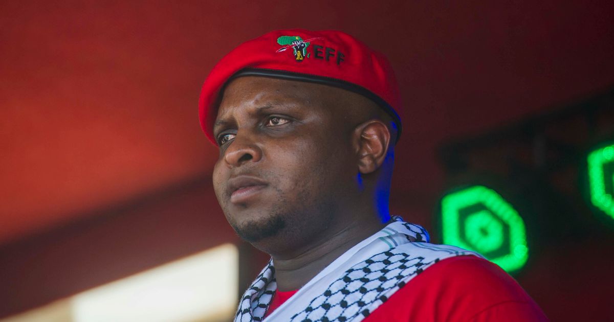 floyd shivambu masters thesis pdf