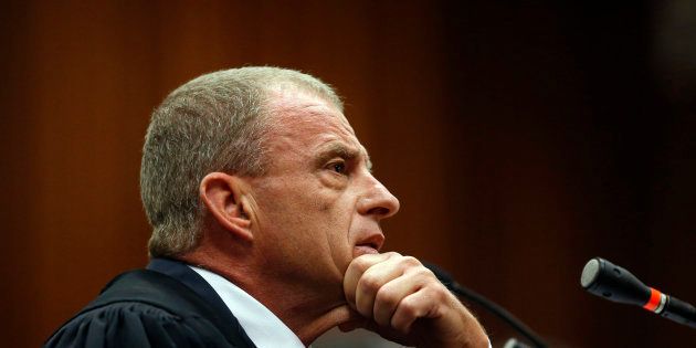 Prosecutor Gerrie Nel questions a witness during the trial of Oscar Pistorius in Pretoria, July 1, 2014.