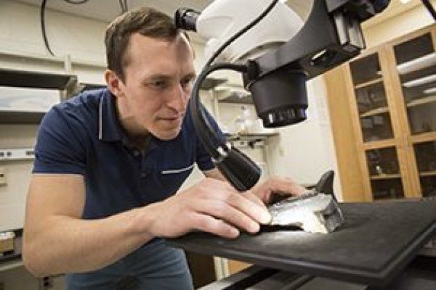 Geologist Erik Gulbranson is studying the tree fossils to see how they survived Antarctica's harsh landscape.
