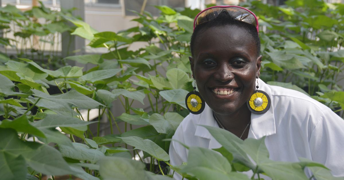 Dr. Esther Ngumbi Is Giving A Voice To African Women In STEM | HuffPost ...