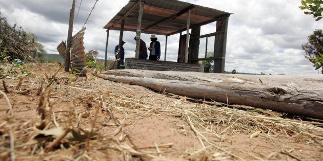 Modimolle residents erect shacks as part of alleged Economic Freedom Fighters' (EFF) expropriation campaign on January 23, 2017 in Modimolle, South Africa.