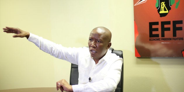 Julius Malema, EFF leader.