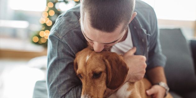 Young man sitting on sofa with his dog. Christmas three in background. Hugging him and kissing.