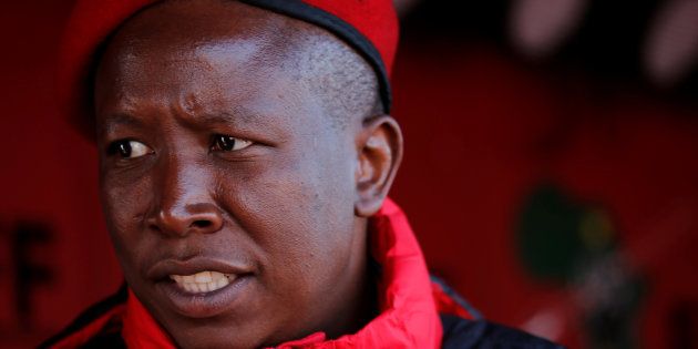 Julius Malema.