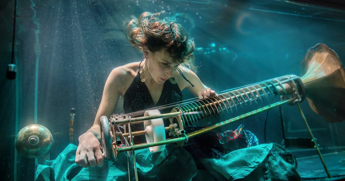 Aquasonic The World's First Underwater Concert HuffPost UK News