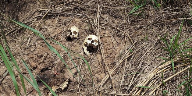 Human skulls suspected to belong to victims of a recent combat between government army and Kamuina Nsapu militia are seen on the roadside in Tshienke near Kananga, the capital of Kasai-central province of the Democratic Republic of Congo, March 12, 2017.