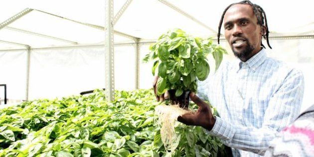 Nhlanhla Mpati is a small-scale entrepreneurial farmer who started a roof-top farm on top of the Chamber of Mines building in the Joburg CBD.