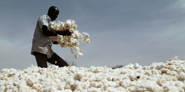 A farmer works in a cotton field in Kongolekan village near Bobo-Dioulasso, Burkina Faso March 7, 2017.