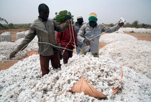 Farmers work at a cotton market in Soungalodaga village near Bobo-Dioulasso, Burkina Faso March 8, 2017. Picture taken March 8, 2017. To match Special Report MONSANTO-BURKINA/COTTON REUTERS/Luc Gnago
