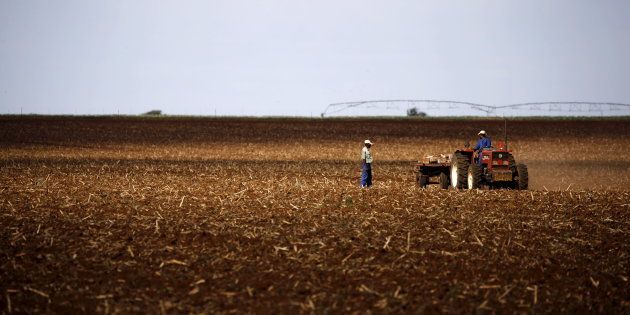 Farmers work on a land outside Lichtenburg, a maize-growing area in the North West province, South Africa November 26, 2015. REUTERS/Siphiwe Sibeko