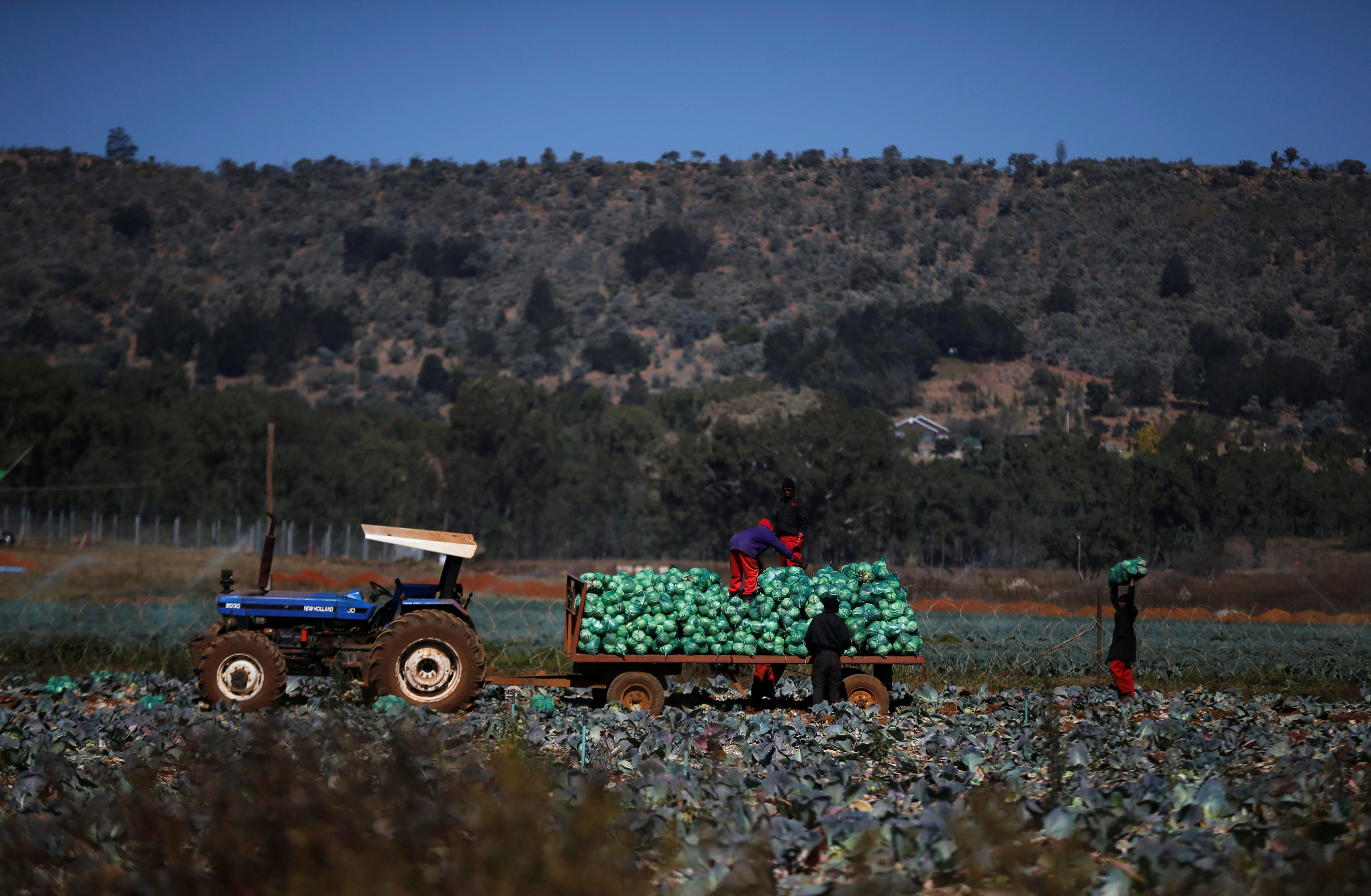 How Land Expropriation Works: Your Questions Answered | HuffPost UK News