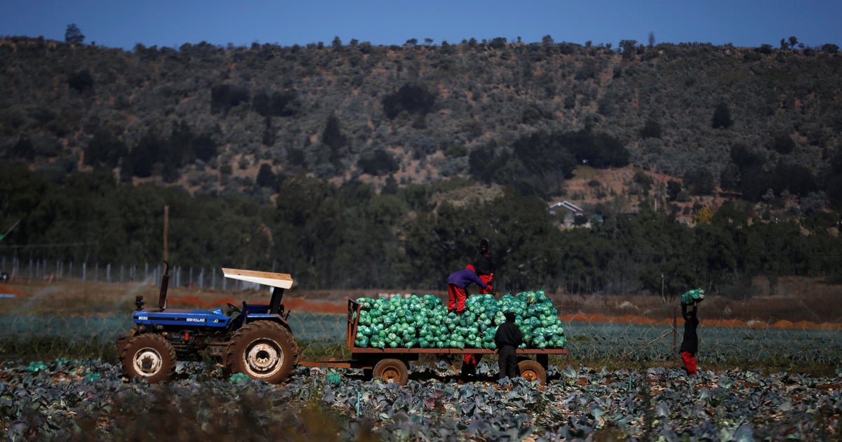 How Land Expropriation Works Your Questions Answered HuffPost UK