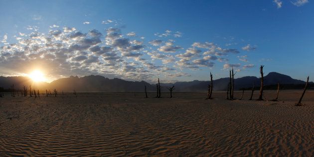 These tree stumps at Theewaterskloof dam, Cape Town's main water supply, are normally submerged. June 2, 2017. REUTERS/Mike Hutchings