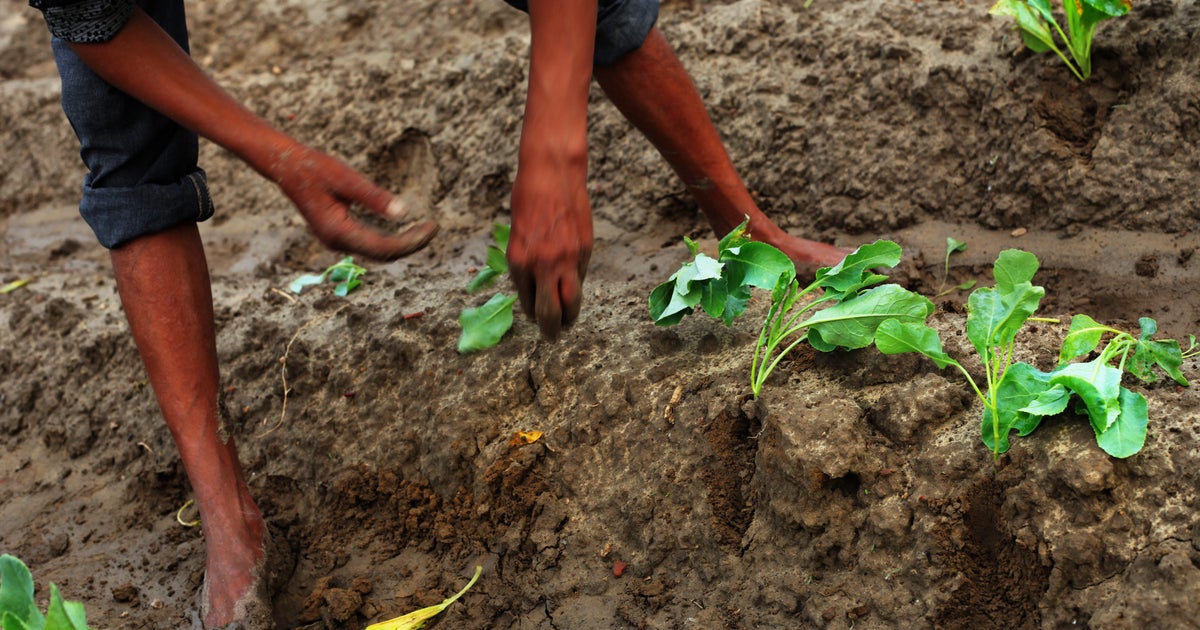 The Ideology Of Land Is The Seed Of A Poor Harvest HuffPost UK News