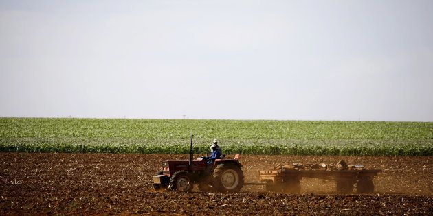 Farmers work on a land outside Lichtenburg, a maize-growing area in the North West province, South Africa November 26, 2015. REUTERS/Siphiwe Sibeko