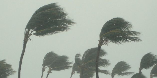 Tropical storm stock photo.