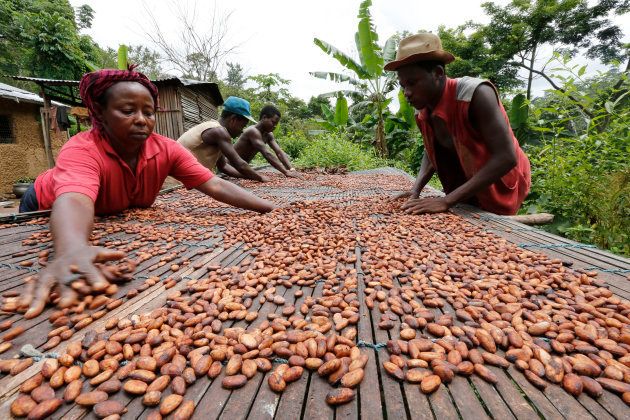 People work with cocoa beans in Enchi June 17, 2014. Picture taken June 17, 2014. To match Insight GHANA-IVORYCOAST/COCOA REUTERS/Thierry Gouegnon (GHANA - Tags: BUSINESS AGRICULTURE FOOD)