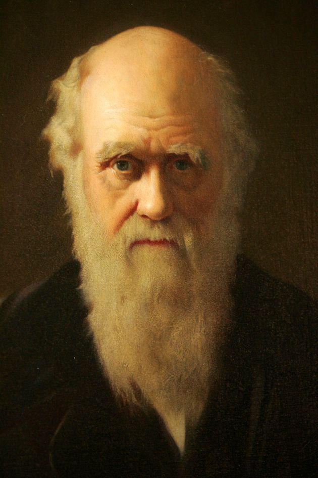 A detail of British artist John Collier's 1883 painting of Charles Darwin is displayed as part of an exhibition in Darwin's former home, Down House, in Kent, southern England February 12, 2009.
