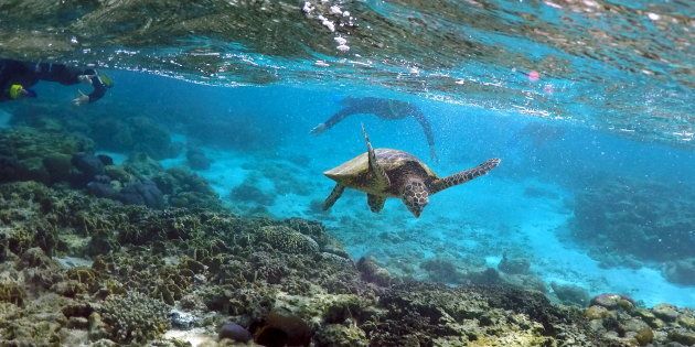 Great Barrier Reef.