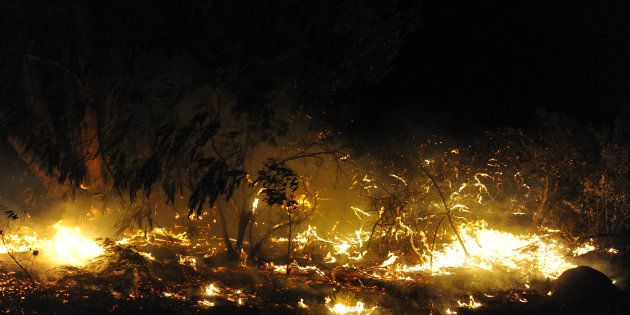 More than 10 000 people were forced to flee their homes overnight as fires fuelled by storm winds ripped through the Western Cape coastal town.