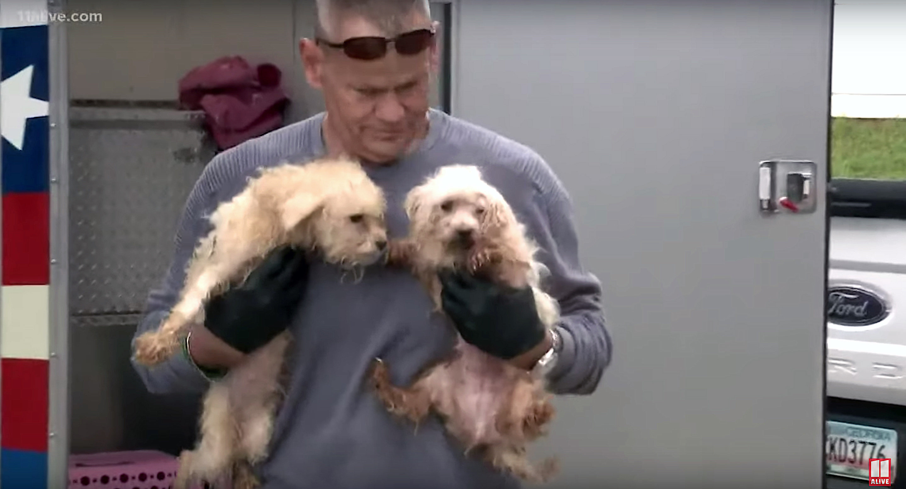 More Than 600 Dogs Rescued From Puppy Mill In Georgia | HuffPost Latest ...