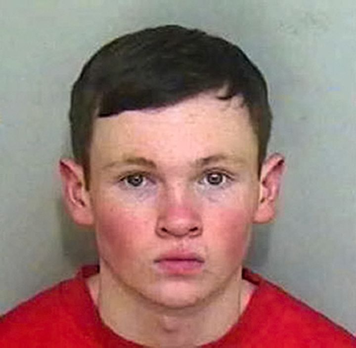 Lewis Daynes was sentenced to life in prison in 2015 