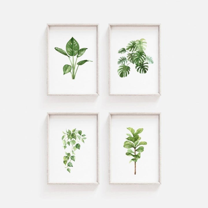 Watercolour Plant Prints, Grey Fox Designs UK, £7.99-£39.99