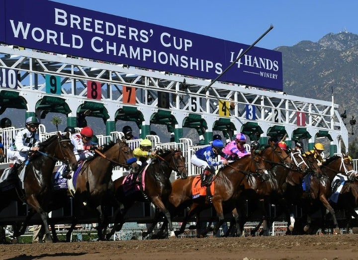 Horses race in the 2016 Breeders' Cup World Championships at the Santa Anita racetrack in Arcadia, California.